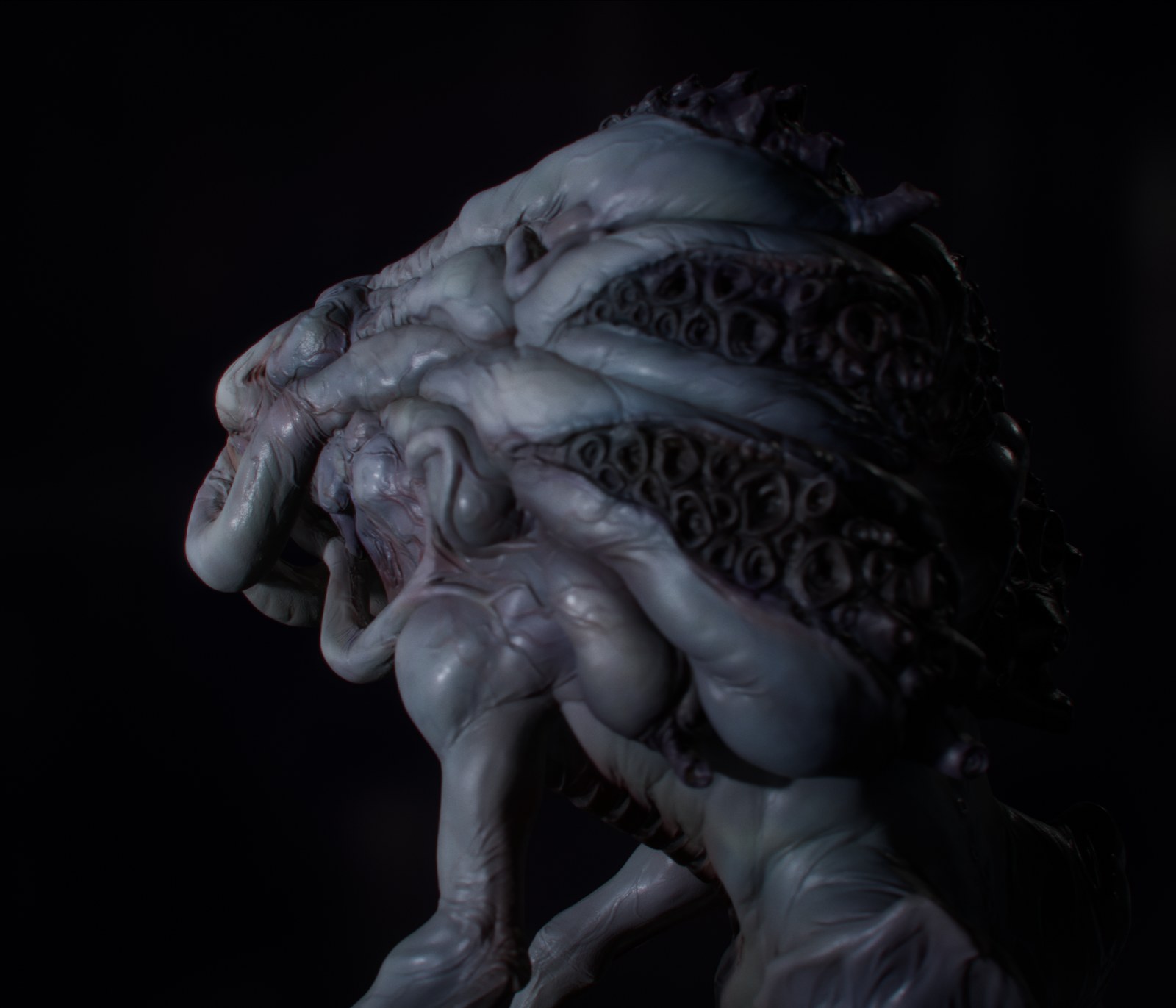 Head close-up — surface folds